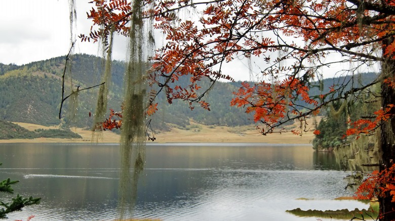 CIMG4359_conew1.jpg