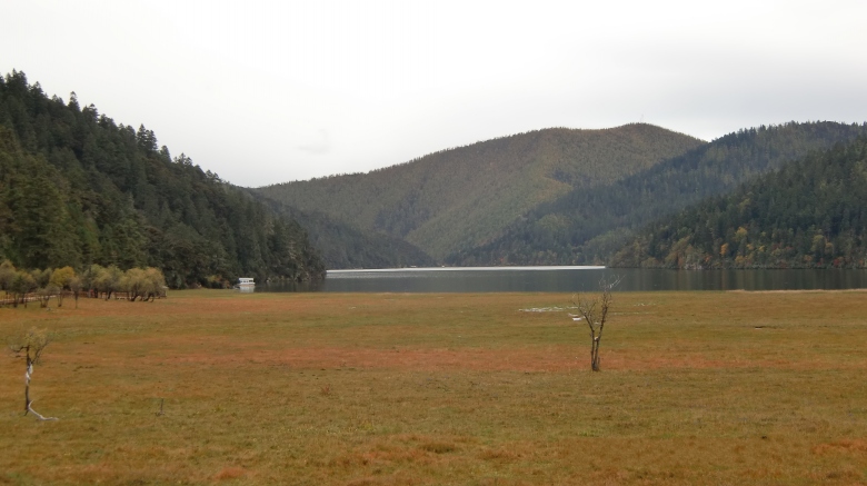 CIMG4448_conew1.jpg