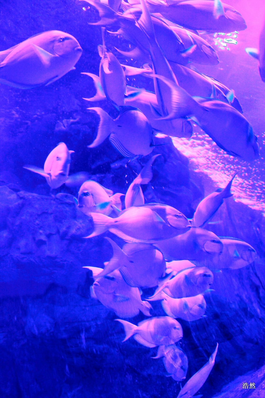 IMG_6008.JPG