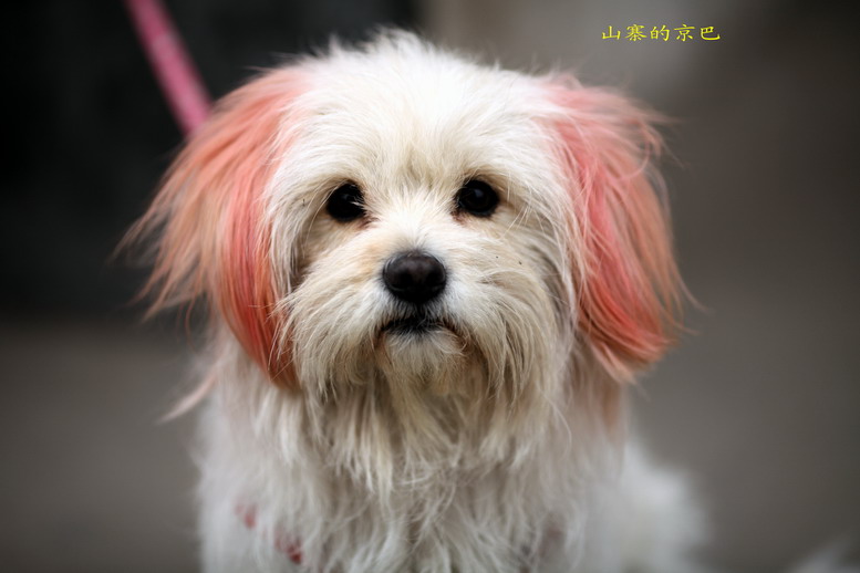 1220057_调整大小.JPG