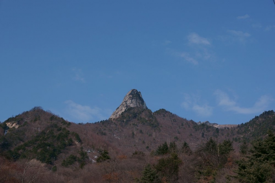 DSC065471.JPG
