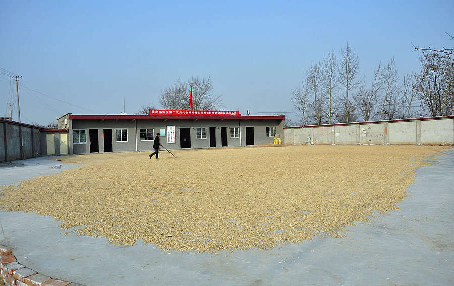 麦场.jpg