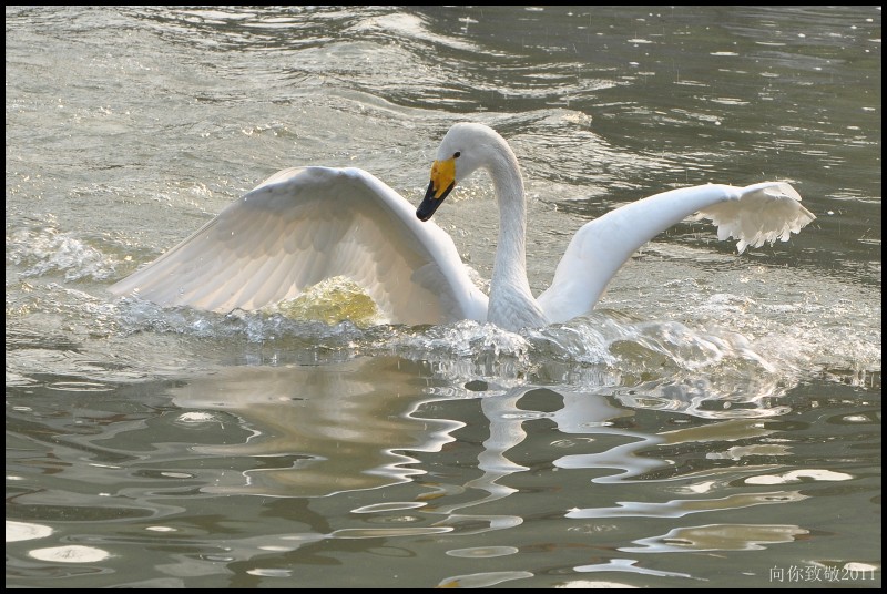 conew_dsc_0086_副本.jpg
