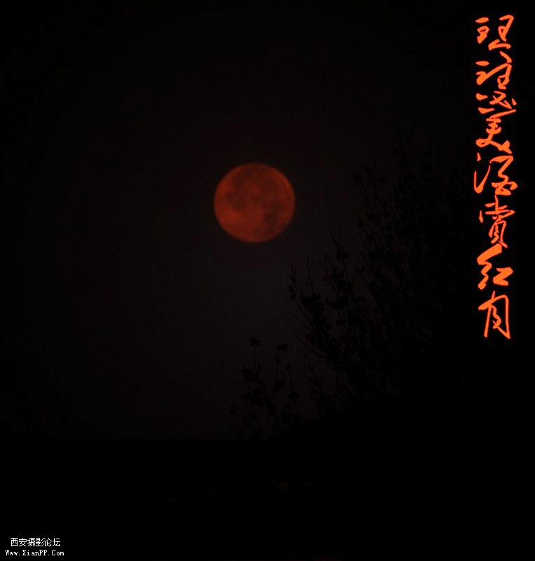 清晨拍于大唐芙蓉园西门