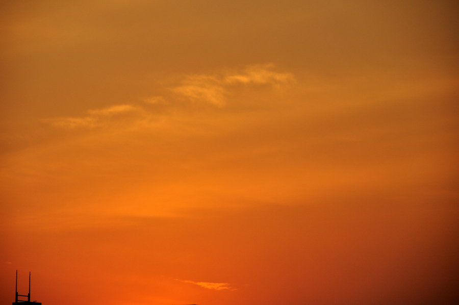 DSC_5498.jpg