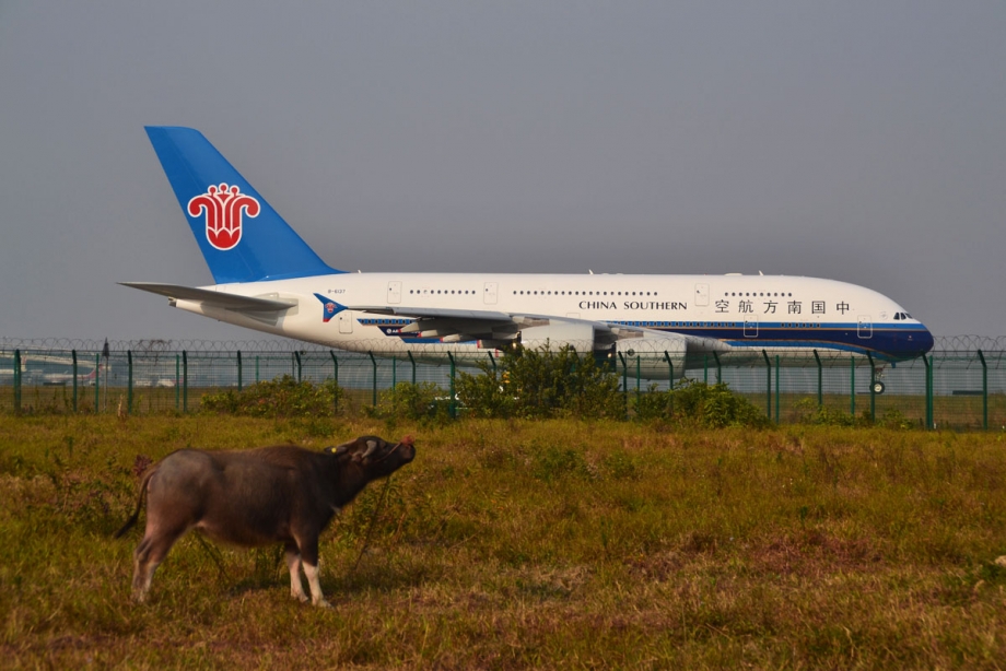 DSC_4550.JPG