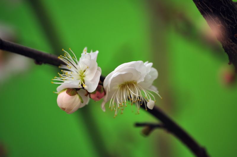 照片 61211.jpg