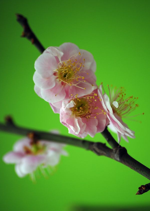 照片 12109.jpg