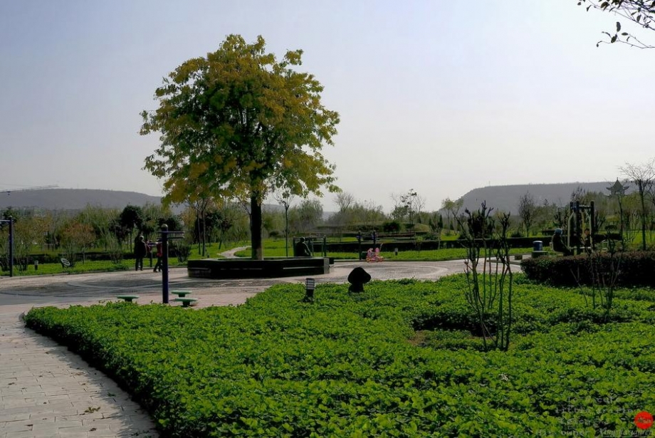 L1000880.jpg