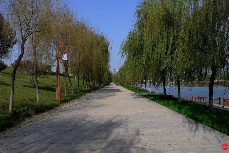 L1000889.JPG