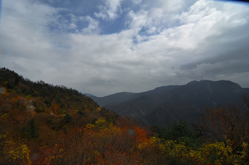 06.jpg