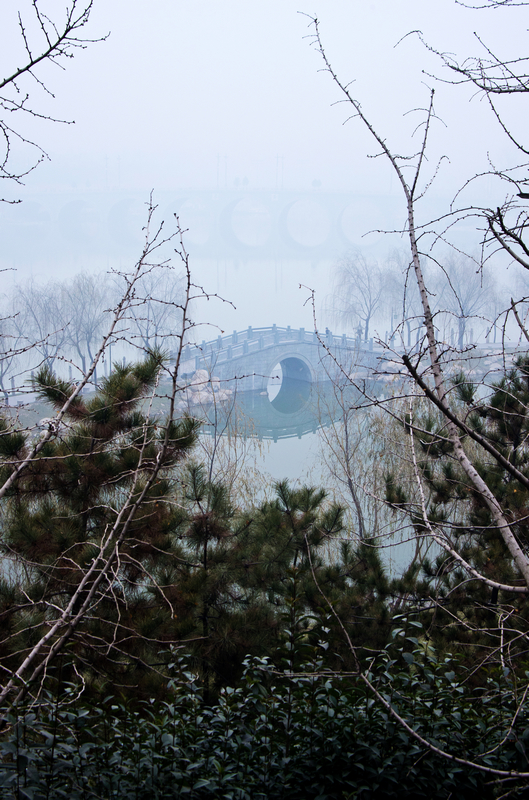 _IGP0333.jpg