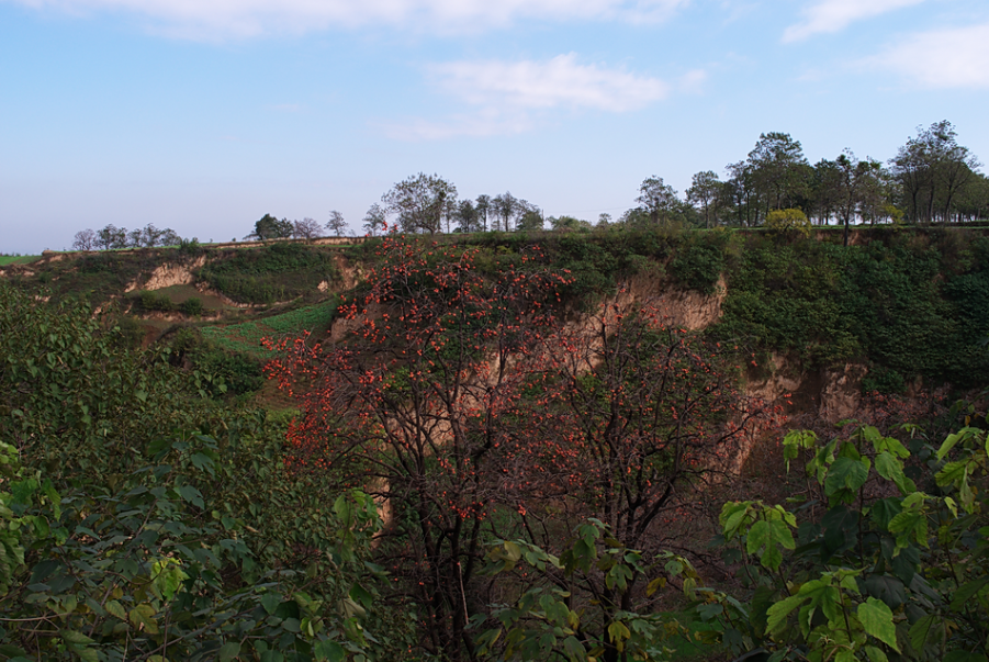 L1000778.png