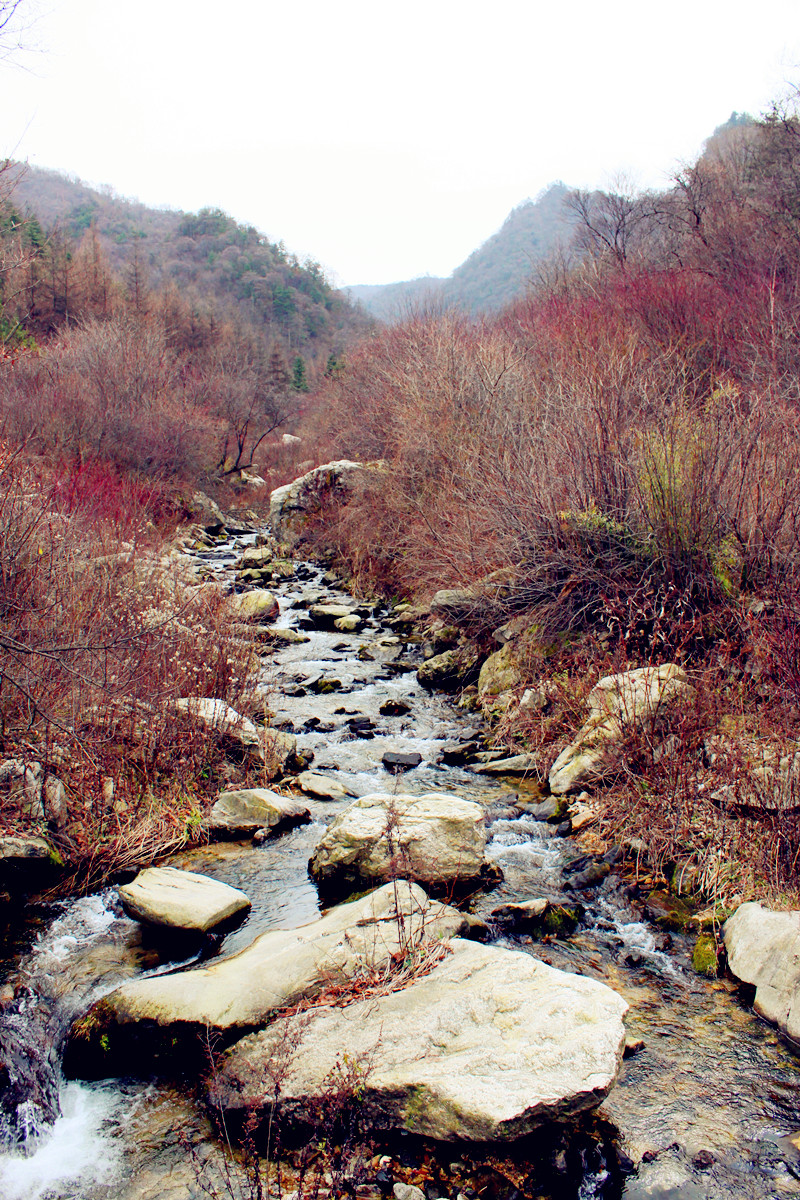 秦岭5-小溪.jpg
