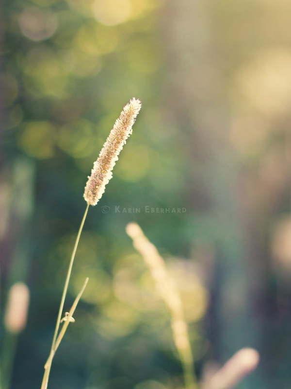 153154y64qfzq779lf177i.jpg