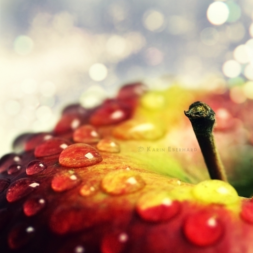 153316tnknwoooz6f1ho1m.jpg