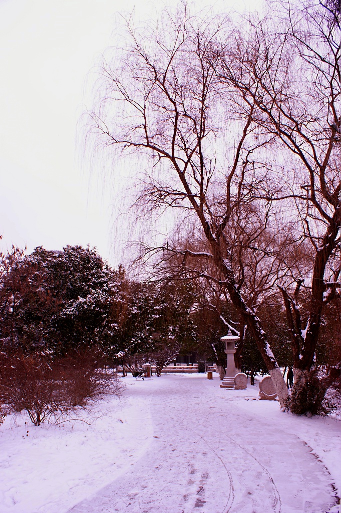 DSC02937.JPG
