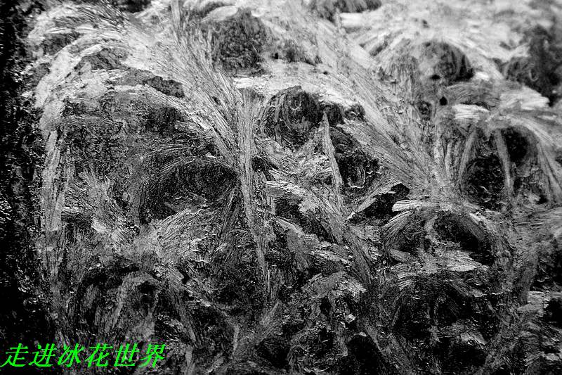_MG_3498.jpg