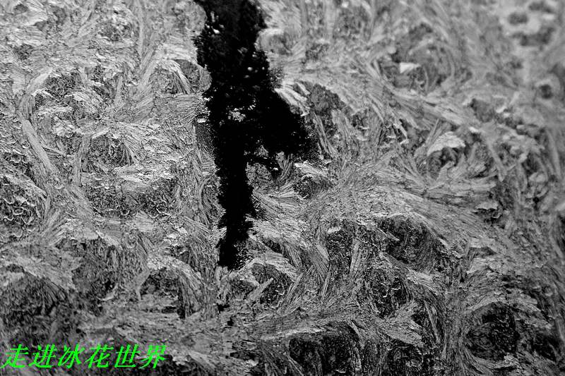 _MG_3500.jpg