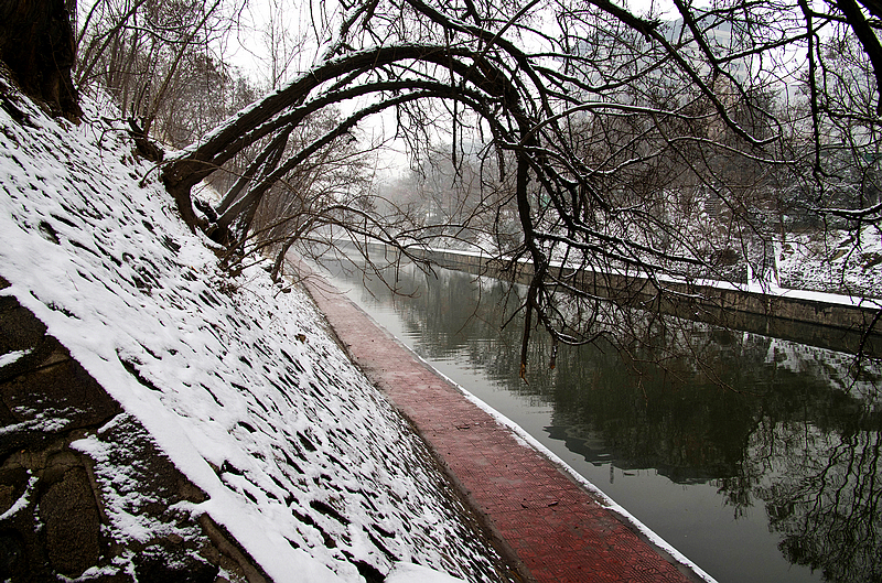 _IGP0843.jpg