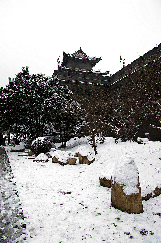 _IGP0858.jpg