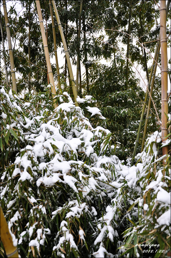 DSC_0023.jpg