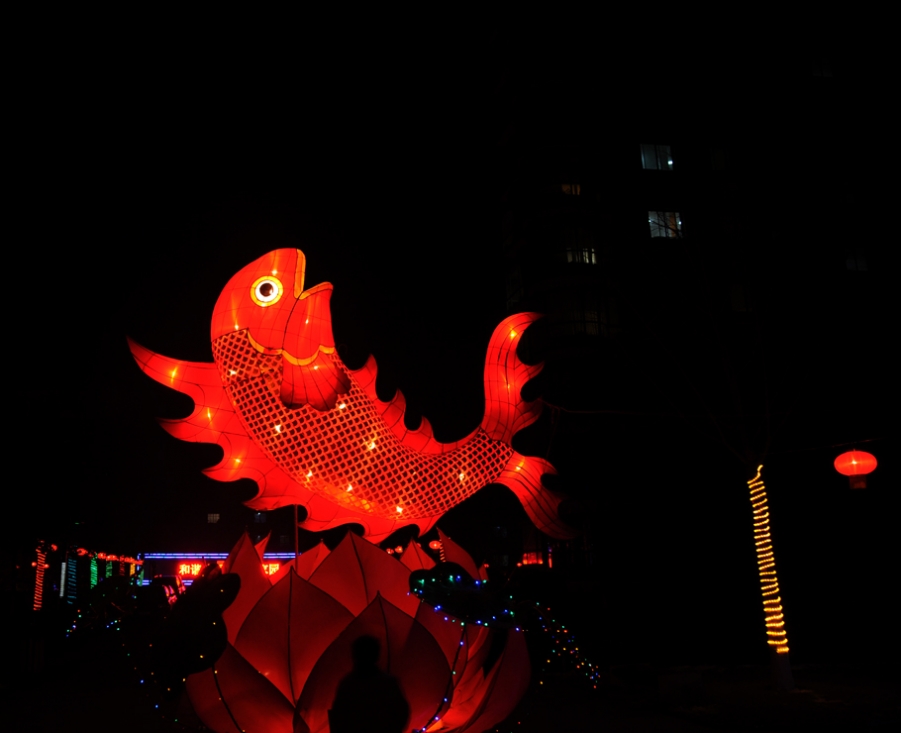 DSC_0520.JPG