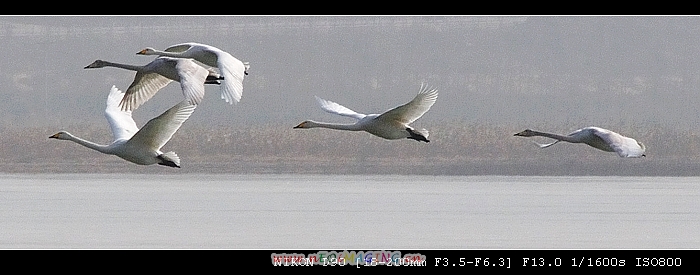 DSC_0650.jpg
