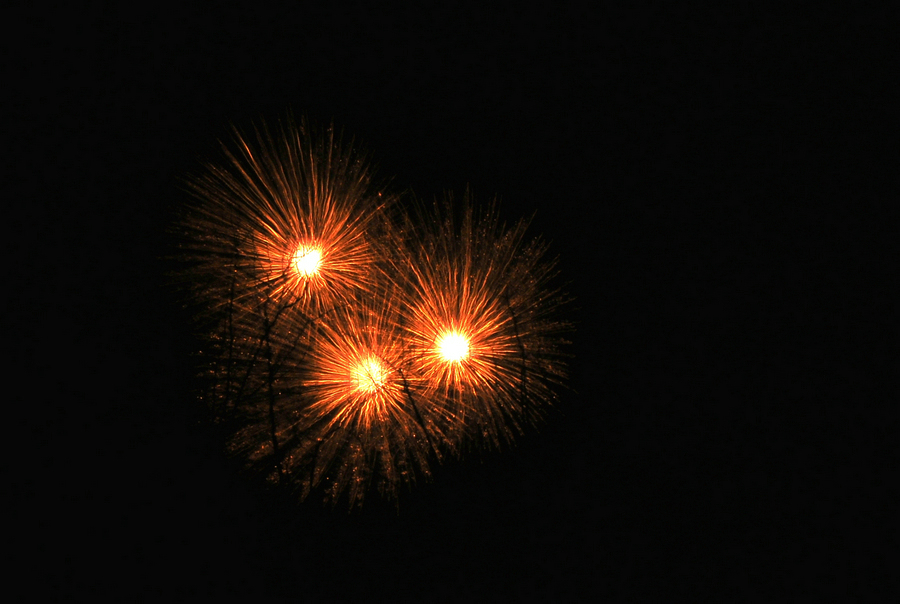 DSC_8673.jpg