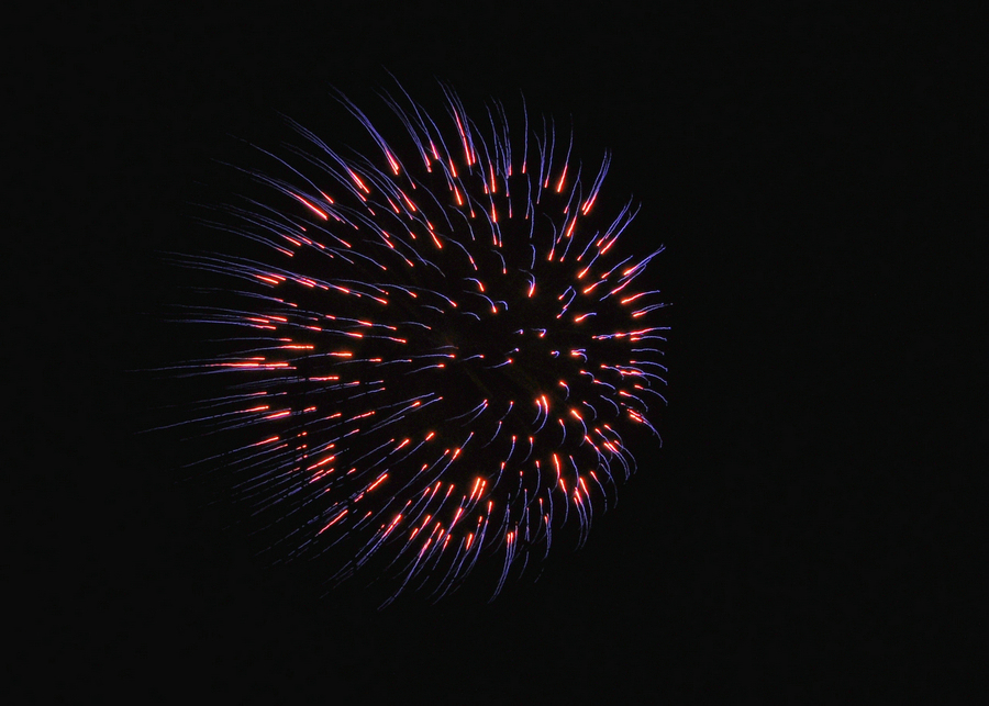 DSC_8775.jpg