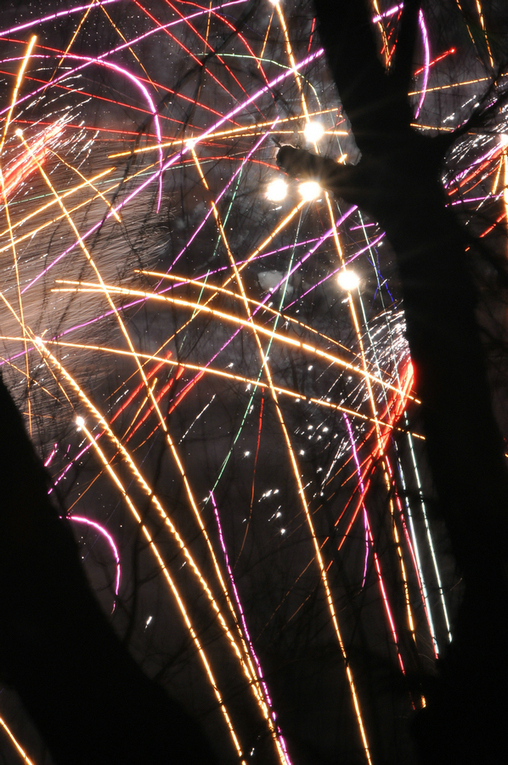 DSC_8907.jpg