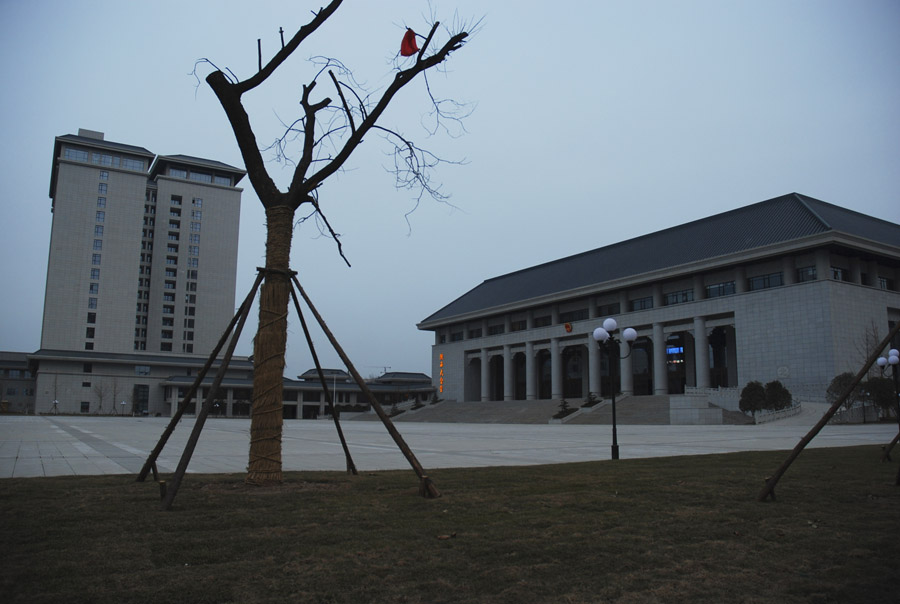 DSC_0148a.jpg