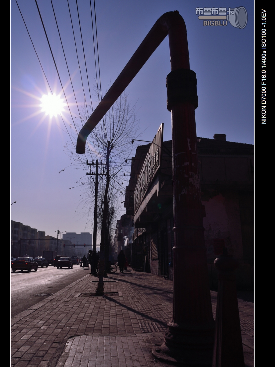 DSC_2506.jpg