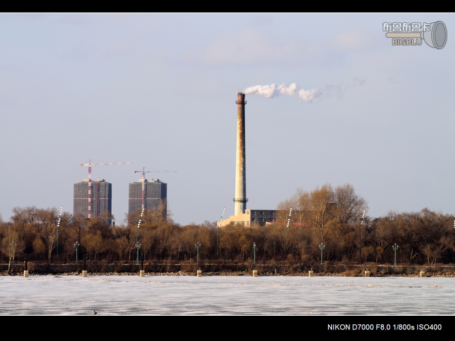 DSC_2668.jpg