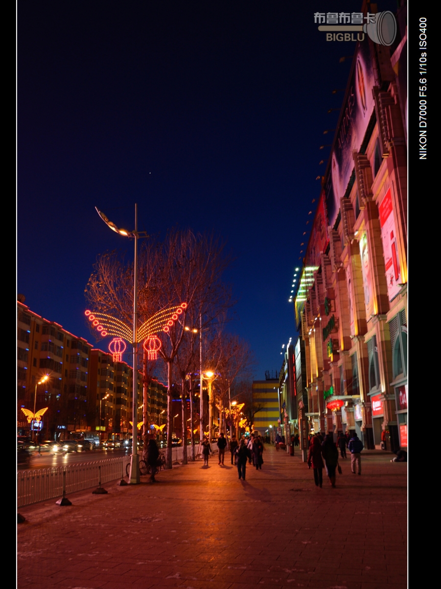 DSC_2816.jpg