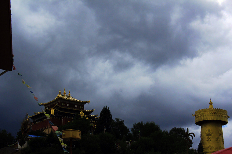 _MG_6798.JPG