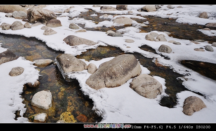 DSC_0286.jpg