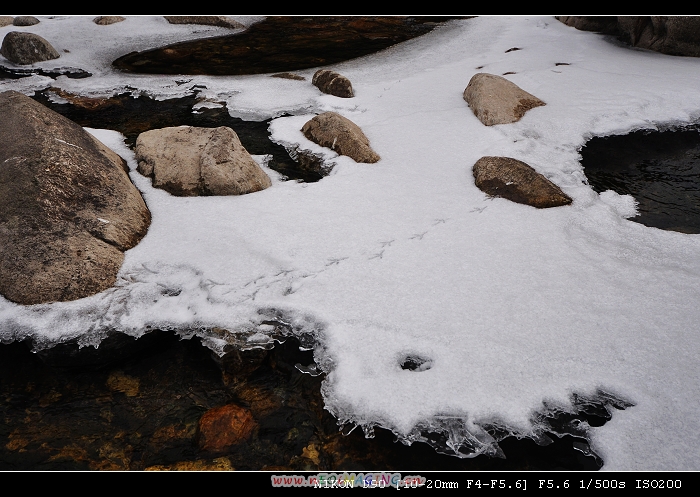 DSC_0296.jpg