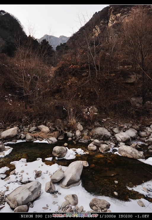 DSC_0337.jpg