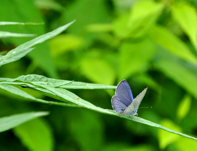 dsc_0902_副本.jpg