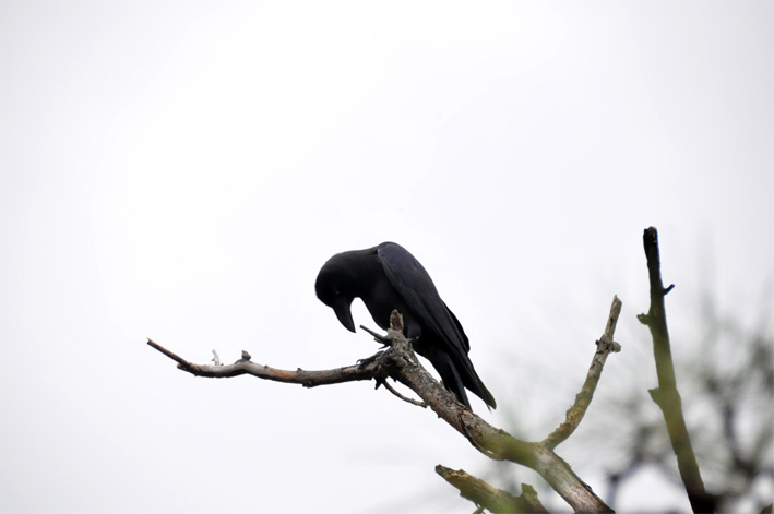 DSC_0317.jpg