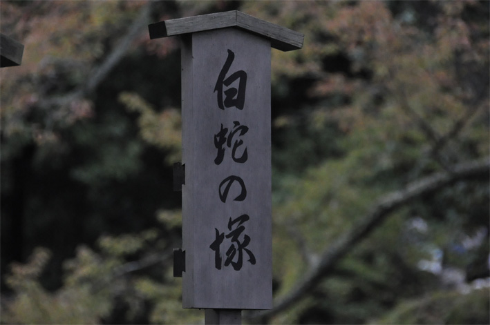 DSC_0410_0_0.jpg