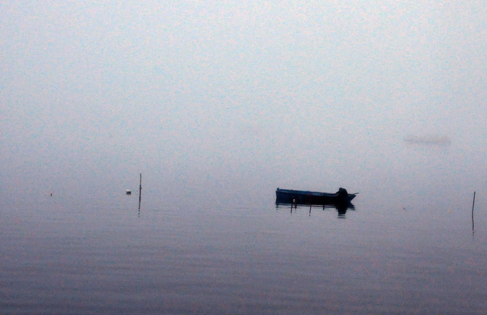 DSC_0703.jpg