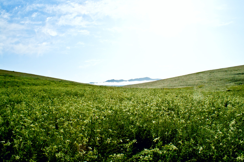 _MG_4132.jpg