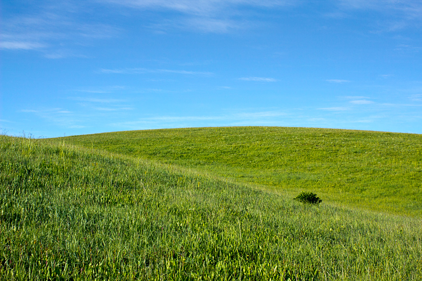_MG_7798.jpg
