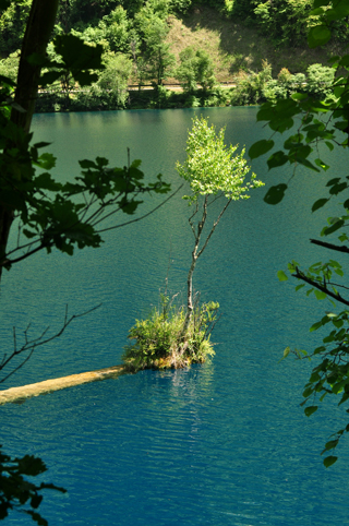 DSC_3374_0.JPG