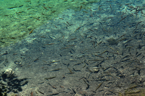 DSC_3040.JPG