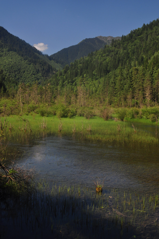 DSC_2872.JPG