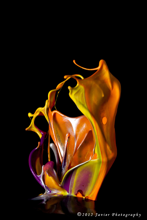 52976787201201181338241875709778403_003_640.jpg
