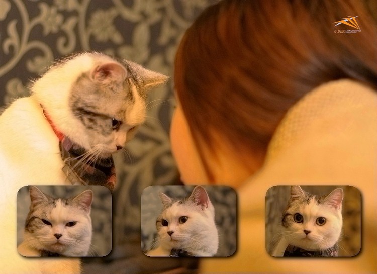 55670704201202111159102414590129107_006_640.jpg